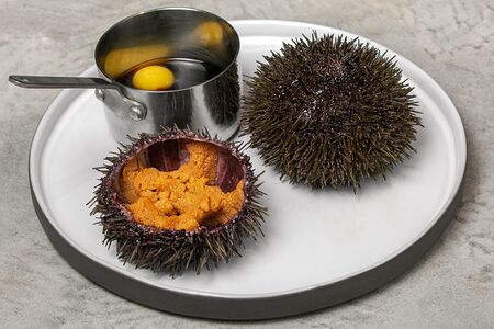 Ежи мурманские