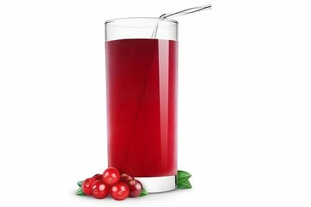 Морс Клюквенный 330мл