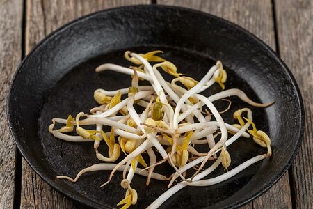 Ростки дополнительно