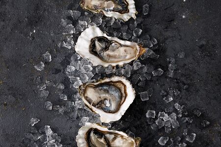 Сет из 12 устриц