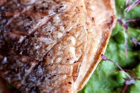 Пряный дорадо с пюре из зеленого горошка