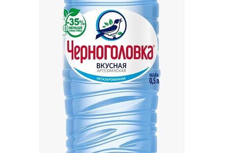 Вода Черноголовка негазированная