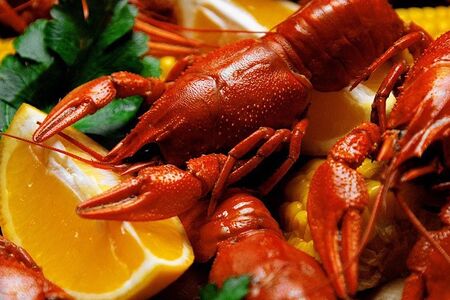 Крупные раки 4 категории