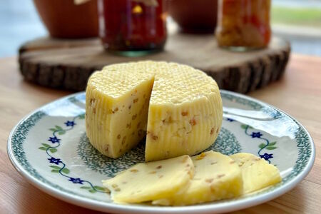 Качотта с пажитником