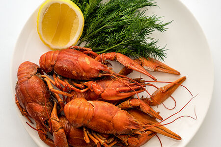 Раки отварные