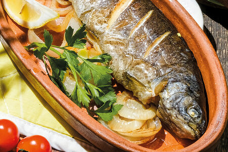 Форель речная