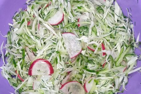 Салат Капуста с редисом