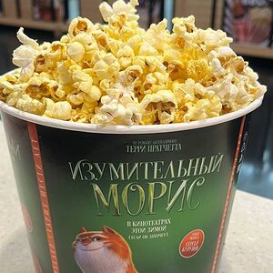 Попкорн солёный стандартный