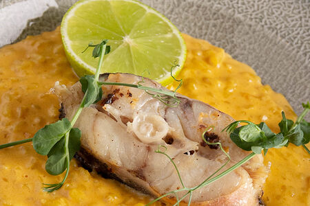 Рыба Конгрио