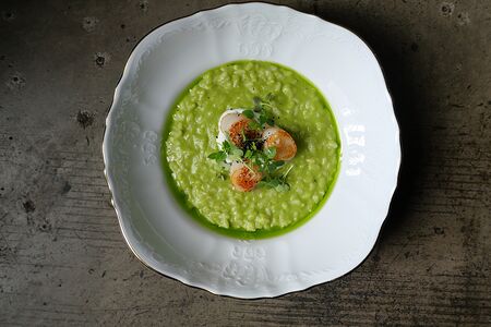 Зеленое ризотто, сахалинский гребешок, мягкий творог