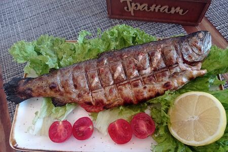 Форель на мангале