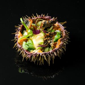 Морской еж с лайм-курдом, васаби, соусом шисо