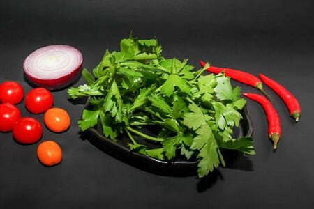 Свежая зелень