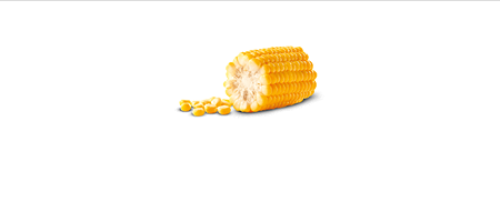 Вареная кукуруза (половина початка)