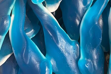 Гигантские дельфины