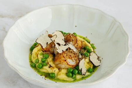 Дальневосточный гребешок с картофельным пюре и черным трюфелем