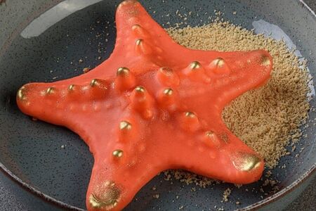 Морская звезда