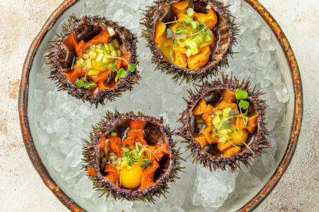 Морские ежи с перепелиным желтком и соусом понзу малые