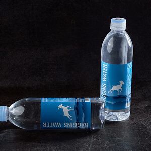 Вода Baggins Water