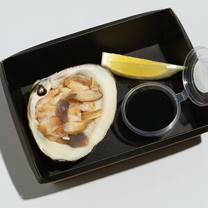 Сет Спизула