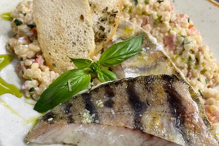 Филе судака