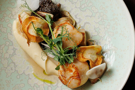 Сахалинский морской гребешок с пюре из корня сельдерея и грибами