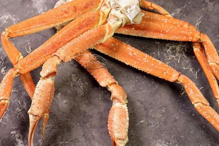 Конечности краба стригуна