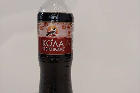 Черноголовка Кола