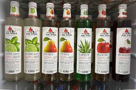 Ascania мята лайм