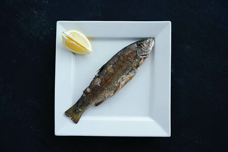 Сибас на мангале