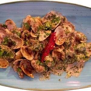 Ոնգոլե սերուցքային սոուսով