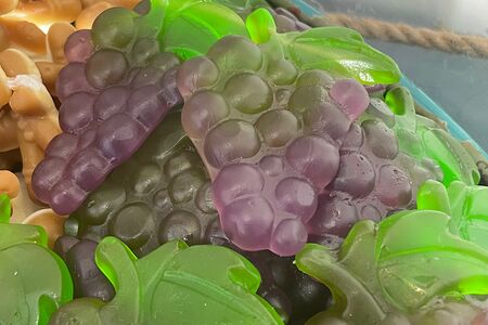 Винoград гигантский