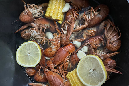 Американская классика Раки средние