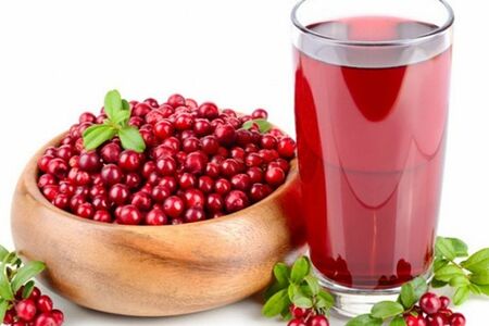 Компот Брусничный