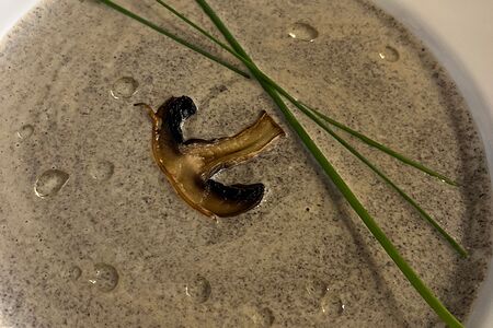 Крем-суп из шампиньонов с трюфелем