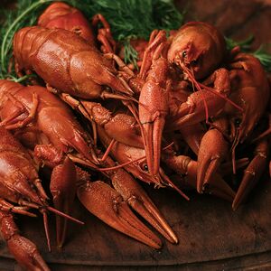 Вареный рак (средне-крупный)