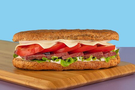 Панини Столичный