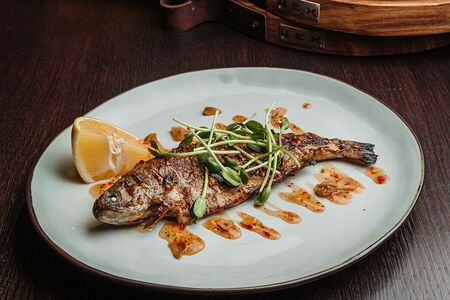 Радужная форель