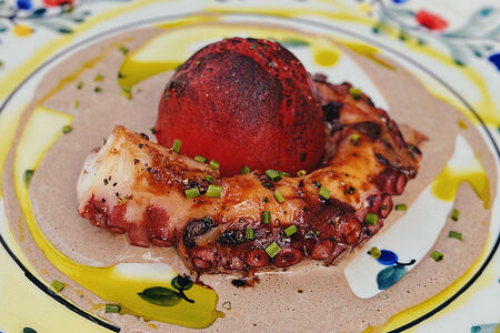 Марокканский осьминог с печеным томатом и соусом из черного чеснока