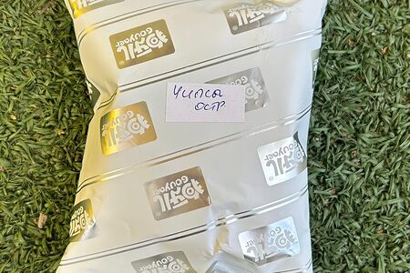 Корейские острые чипсы