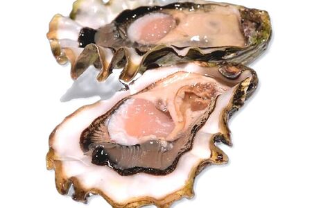 Устрица Розовая Джоли