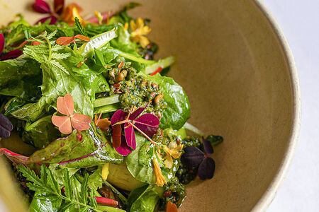 Зеленый салат