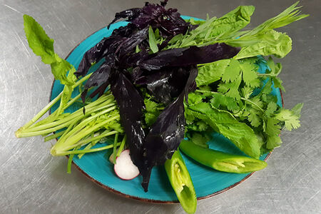 Свежая зелень