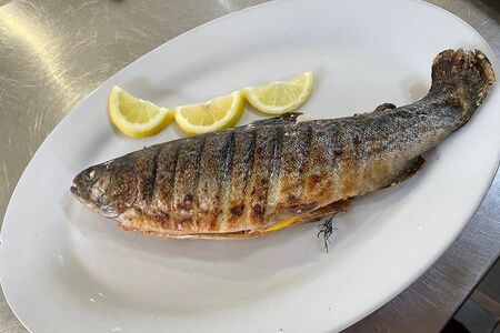 Форель на углях