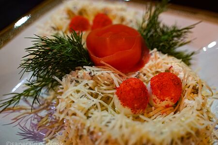 Птичье гнездо