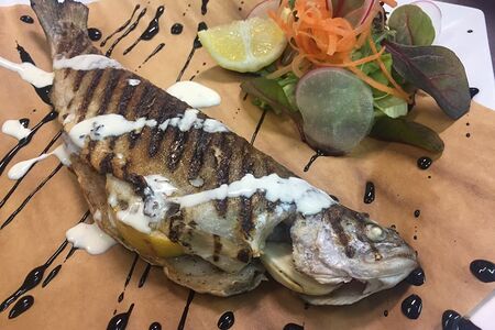 Сибас гриль