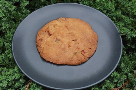 Печенье миндальное с клюквой