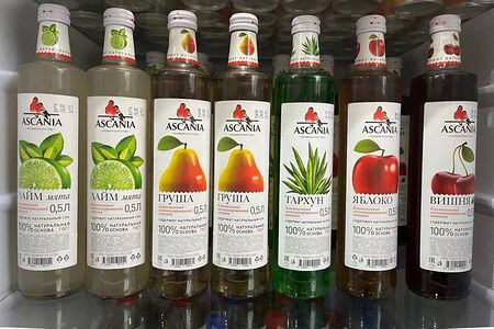 Ascania тархун