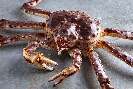 Краб Камчатский на компанию