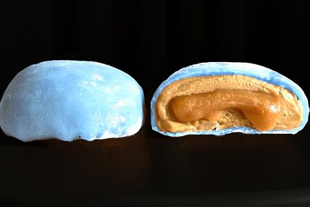 Моти Баунти